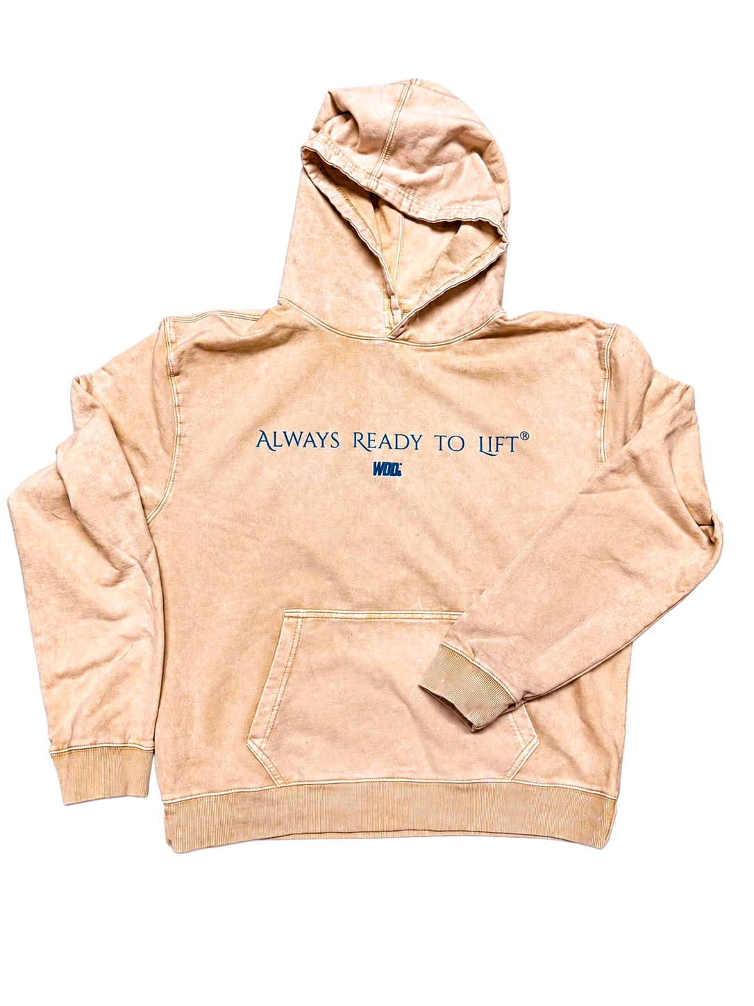 ALWAYS MYSTICAL HOODIE MINERAL