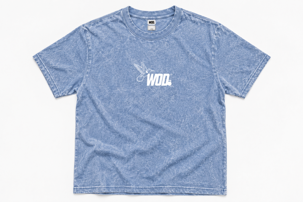 Playera Oversize Hombre COLIBRI ALWAYS SKY BLUE
