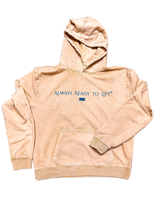 ALWAYS MYSTICAL HOODIE MINERAL