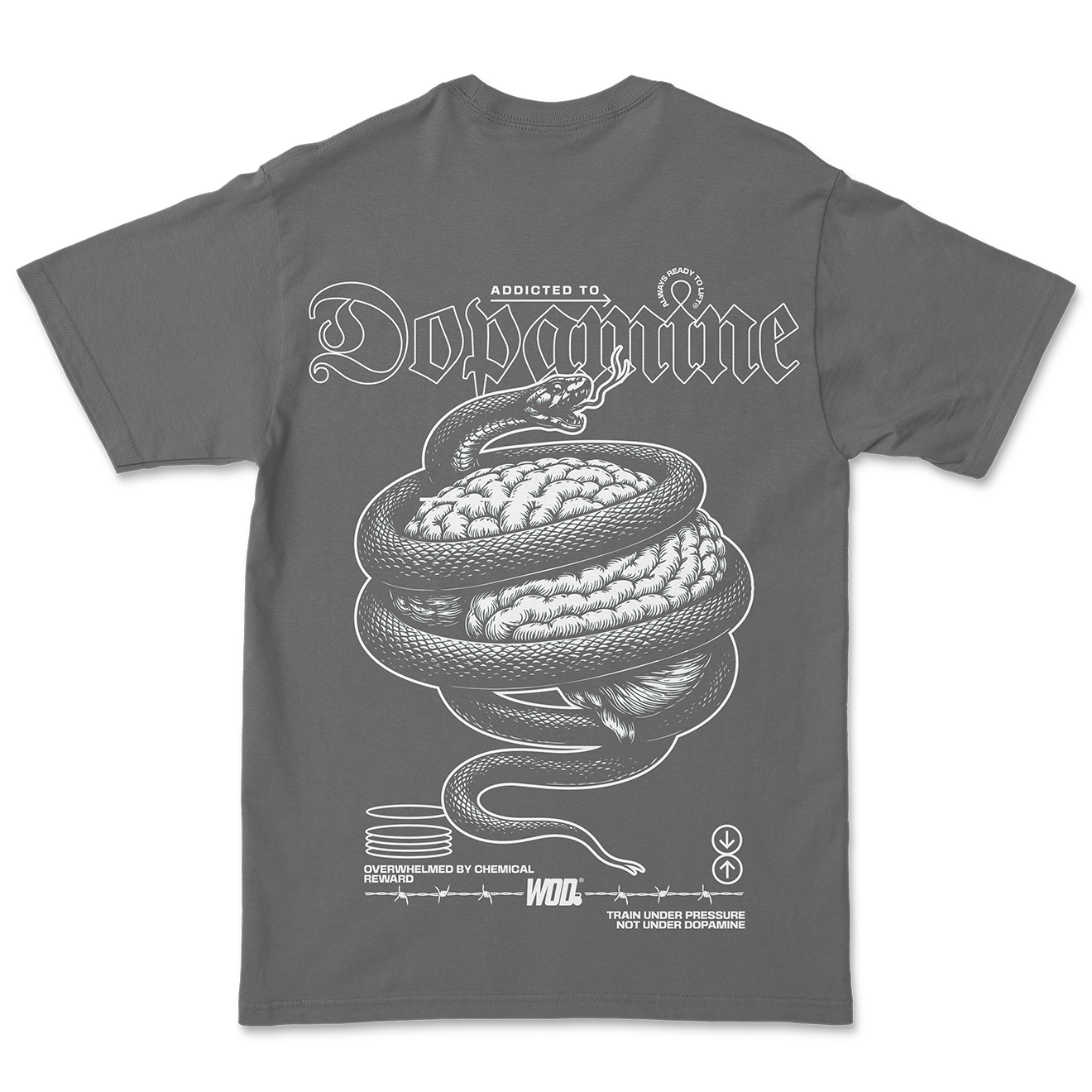 DOPAMINE Oversize Tee