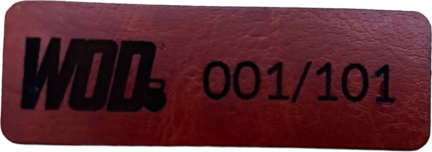 HOODIE LEADER – 10 AÑOS (ED. ESPECIAL 101)
